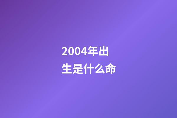 2004年出生是什么命
