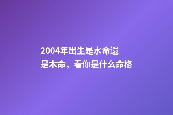 2004年出生是水命還是木命，看你是什么命格-第1張-觀點-玄機派