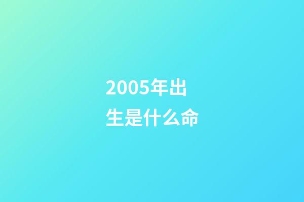 2005年出生是什么命
