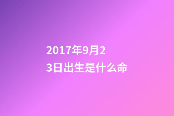 2017年9月23日出生是什么命(5大熱門國產長頭車對比，最豪華最高配的果然是它)-第1張-觀點-玄機派