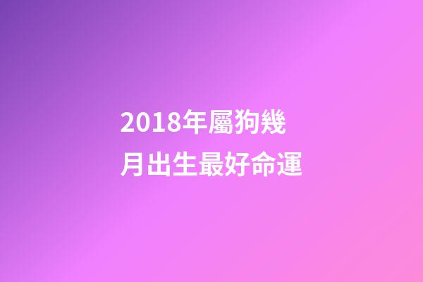 2018年屬狗幾月出生最好命運(2018年出生的狗寶寶這幾個月命最好了，大家快來看看有你家的嗎？)-第1張-觀點-玄機派