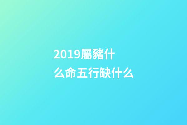 2019屬豬什么命五行缺什么(豬年如何行大運？)-第1張-觀點-玄機派