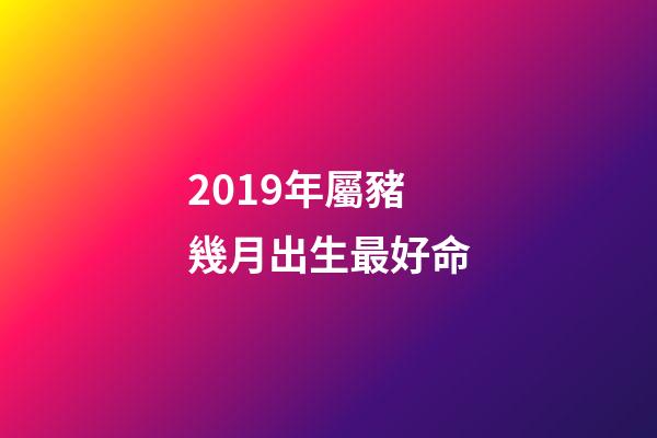 2019年屬豬幾月出生最好命(2019年是什么豬年 好運來了)-第1張-觀點-玄機(jī)派