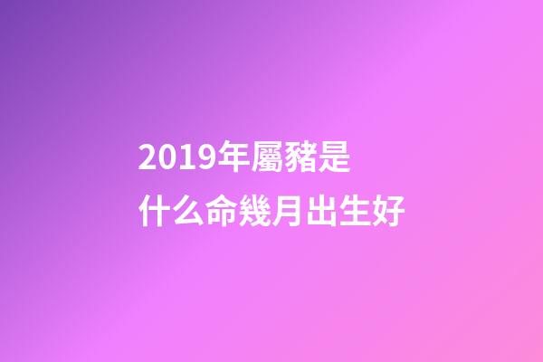 2019年屬豬是什么命幾月出生好(2019年5月份哪一天出生最好)-第1張-觀點(diǎn)-玄機(jī)派