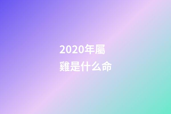 2020年屬雞是什么命(打破沙鍋問到底!大金雞：未來一周，賺取萬貫家產，事業大順)-第1張-觀點-玄機派