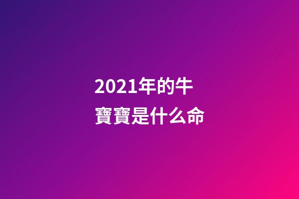 2021年的牛寶寶是什么命(我國自主繁育的專門化肉牛新品種發布，助力種業科技自立自強)-第1張-觀點-玄機派