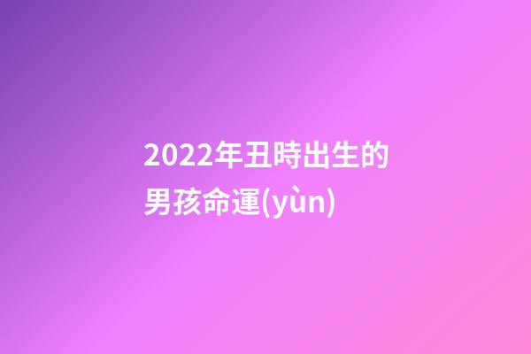 2022年丑時出生的男孩命運(yùn)(敘詭筆記“傳張之洞為猿猴托生”的真相)-第1張-觀點(diǎn)-玄機(jī)派