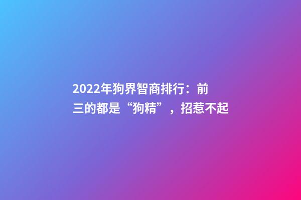 2022年狗界智商排行：前三的都是“狗精”，招惹不起-第1張-觀點-玄機派