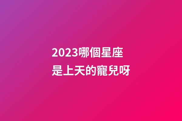 2023哪個星座是上天的寵兒呀