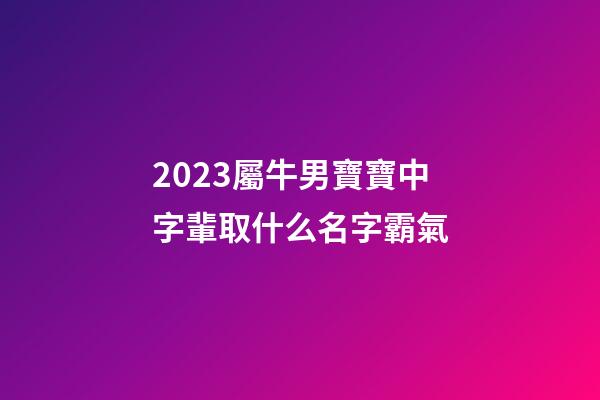 2023屬牛男寶寶中字輩取什么名字霸氣