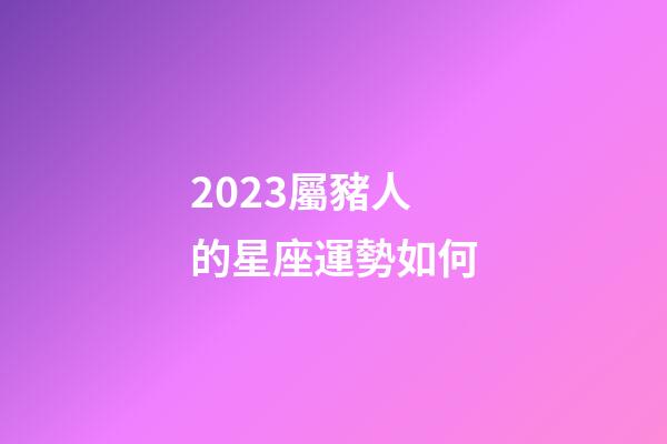 2023屬豬人的星座運勢如何-第1張-星座運勢-玄機派