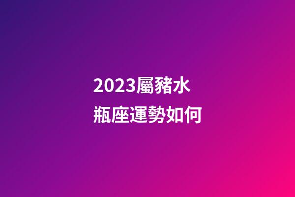 2023屬豬水瓶座運勢如何