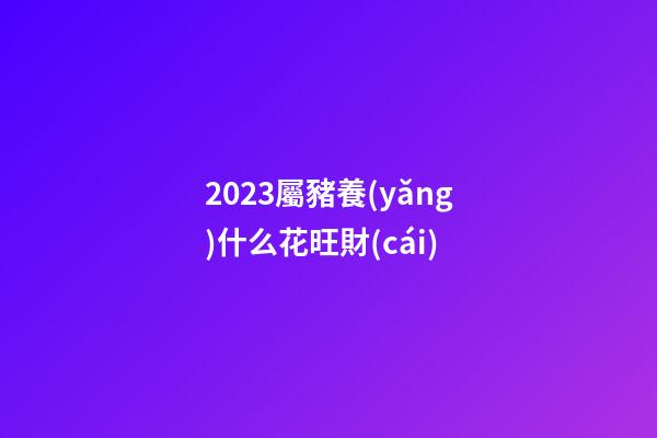 2023屬豬養(yǎng)什么花旺財(cái)