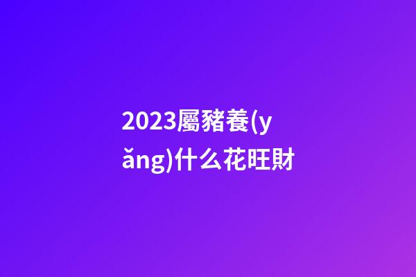 2023屬豬養(yǎng)什么花旺財