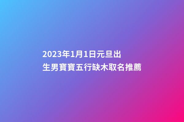 2023年1月1日元旦出生男寶寶五行缺木取名推薦