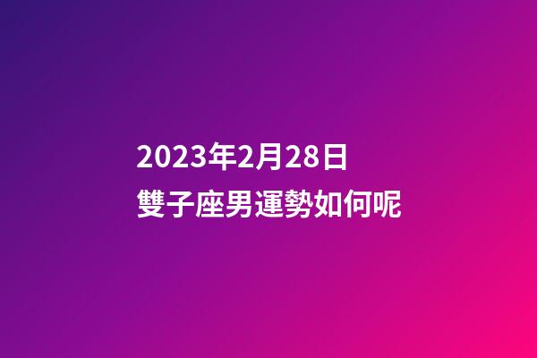 2023年2月28日雙子座男運勢如何呢-第1張-星座運勢-玄機派