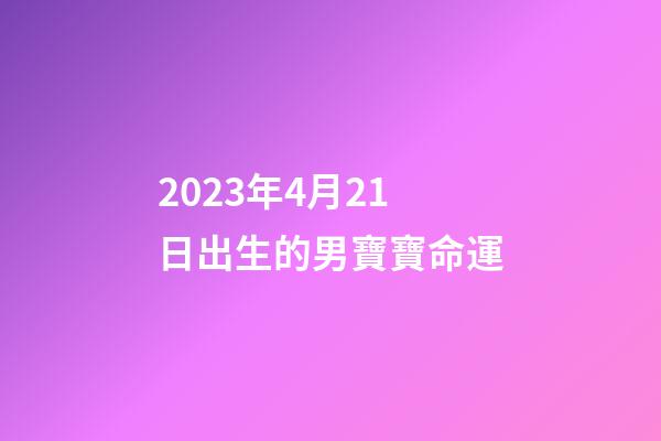 2023年4月21日出生的男寶寶命運