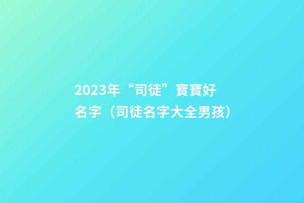 2023年“司徒”寶寶好名字（司徒名字大全男孩）