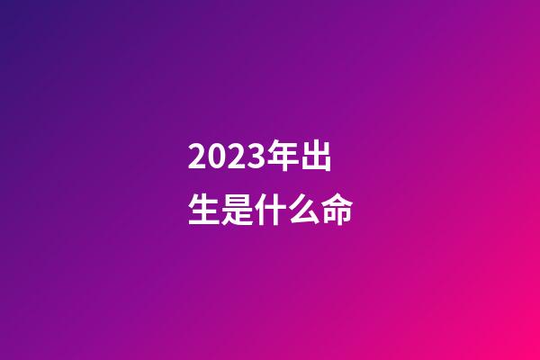 2023年出生是什么命