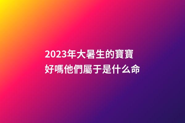 2023年大暑生的寶寶好嗎?他們屬于是什么命?