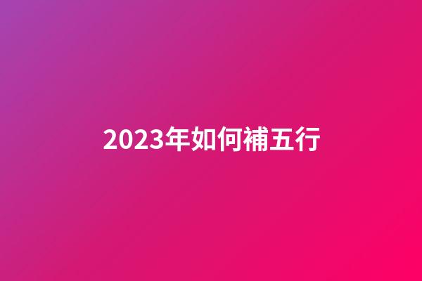 2023年如何補五行