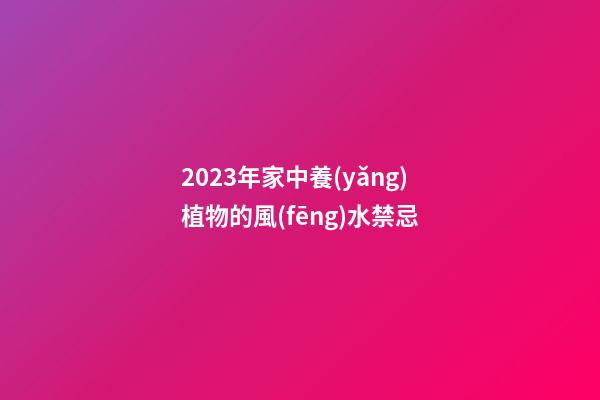 2023年家中養(yǎng)植物的風(fēng)水禁忌