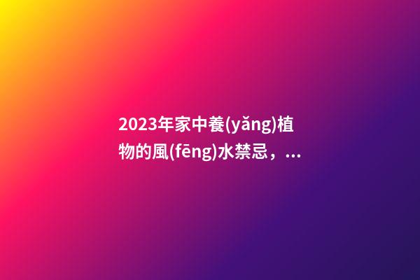 2023年家中養(yǎng)植物的風(fēng)水禁忌，最后一點(diǎn)很多人忽略了