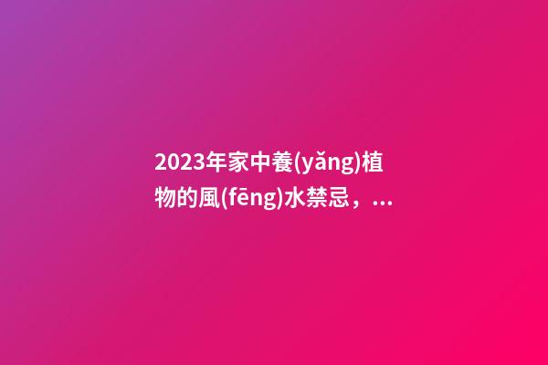 2023年家中養(yǎng)植物的風(fēng)水禁忌，最后一點很多人忽略了