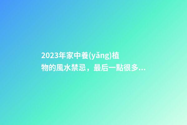 2023年家中養(yǎng)植物的風水禁忌，最后一點很多人忽略了
