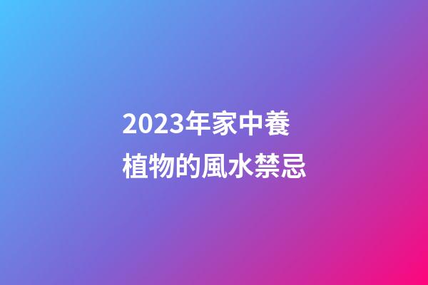 2023年家中養植物的風水禁忌
