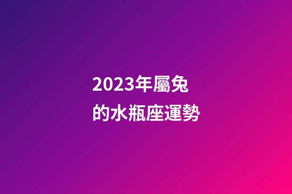 2023年屬兔的水瓶座運勢-第1張-星座運勢-玄機派