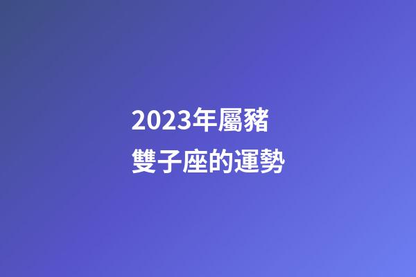 2023年屬豬雙子座的運勢-第1張-星座運勢-玄機派