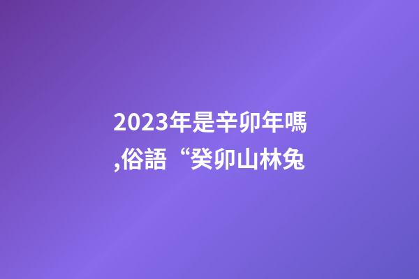 2023年是辛卯年嗎,俗語“癸卯山林兔-第1張-觀點-玄機派