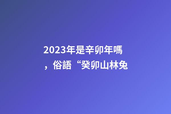 2023年是辛卯年嗎，俗語“癸卯山林兔-第1張-觀點-玄機派