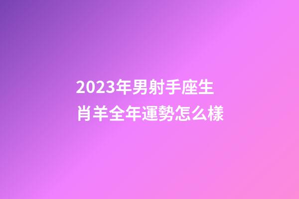2023年男射手座生肖羊全年運勢怎么樣-第1張-星座運勢-玄機派