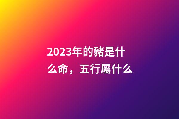 2023年的豬是什么命，五行屬什么?