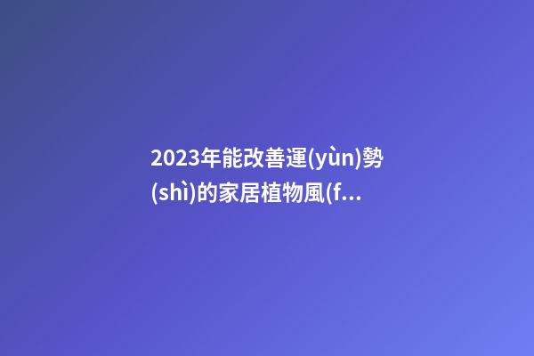 2023年能改善運(yùn)勢(shì)的家居植物風(fēng)水