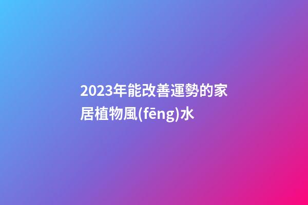 2023年能改善運勢的家居植物風(fēng)水