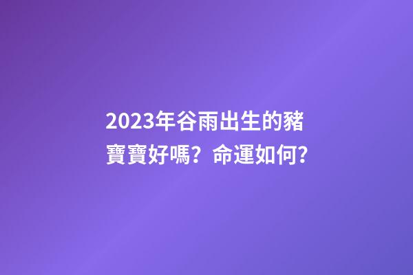 2023年谷雨出生的豬寶寶好嗎？命運如何？