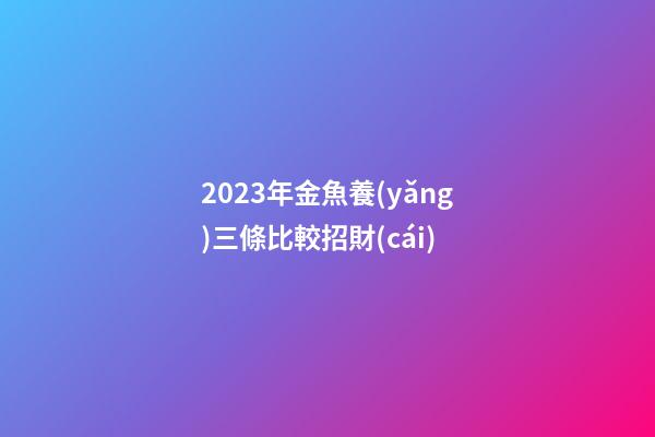 2023年金魚養(yǎng)三條比較招財(cái)