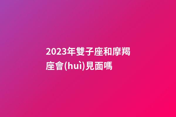 2023年雙子座和摩羯座會(huì)見面嗎-第1張-星座運(yùn)勢-玄機(jī)派