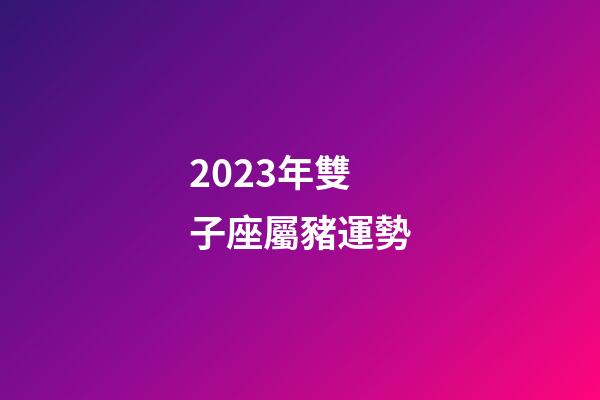 2023年雙子座屬豬運勢-第1張-星座運勢-玄機派