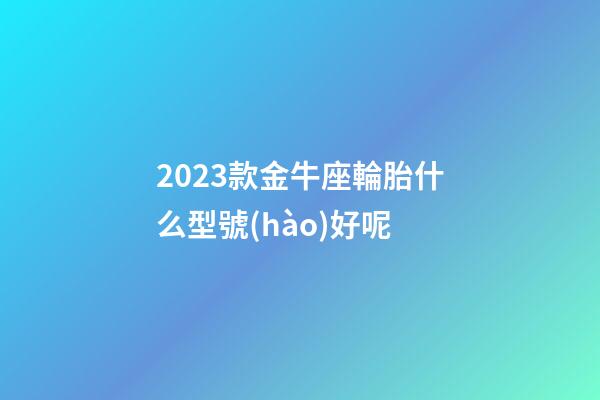 2023款金牛座輪胎什么型號(hào)好呢
