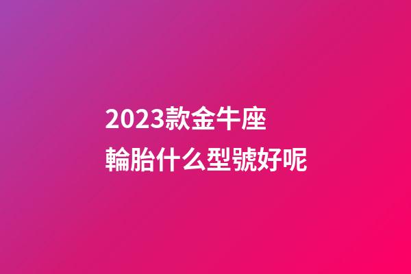2023款金牛座輪胎什么型號好呢