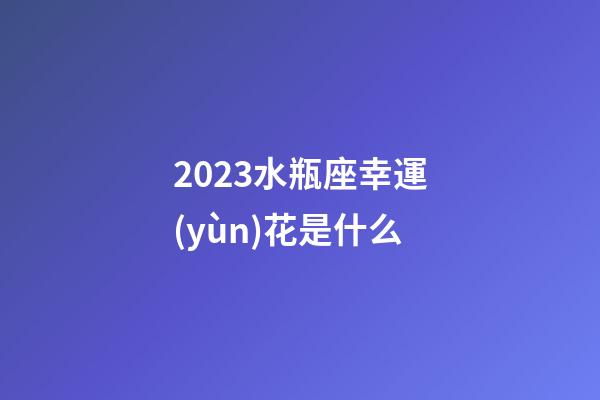 2023水瓶座幸運(yùn)花是什么-第1張-星座運(yùn)勢(shì)-玄機(jī)派