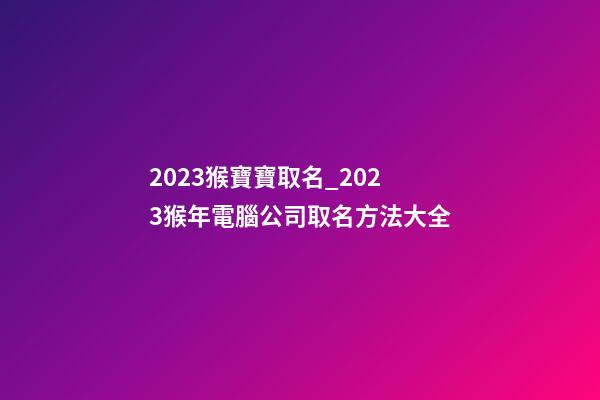 2023猴寶寶取名_2023猴年電腦公司取名方法大全-第1張-公司起名-玄機(jī)派
