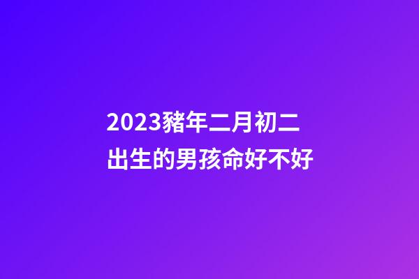 2023豬年二月初二出生的男孩命好不好