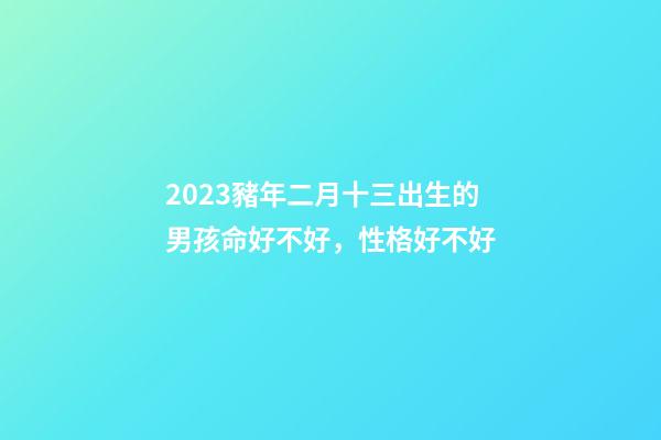 2023豬年二月十三出生的男孩命好不好，性格好不好