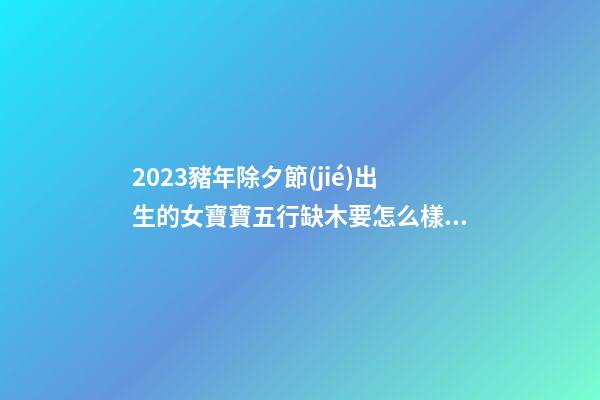 2023豬年除夕節(jié)出生的女寶寶五行缺木要怎么樣起名字