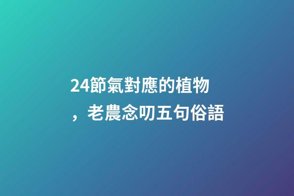 24節氣對應的植物，老農念叨五句俗語-第1張-觀點-玄機派